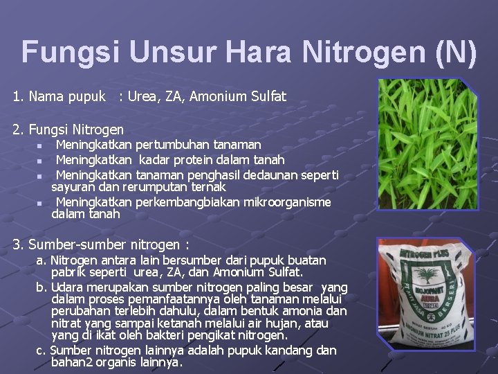 Fungsi Unsur Hara Nitrogen (N) 1. Nama pupuk : Urea, ZA, Amonium Sulfat 2.