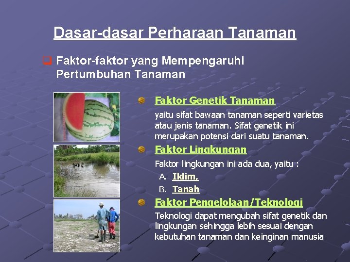 Dasar-dasar Perharaan Tanaman q Faktor-faktor yang Mempengaruhi Pertumbuhan Tanaman Faktor Genetik Tanaman yaitu sifat