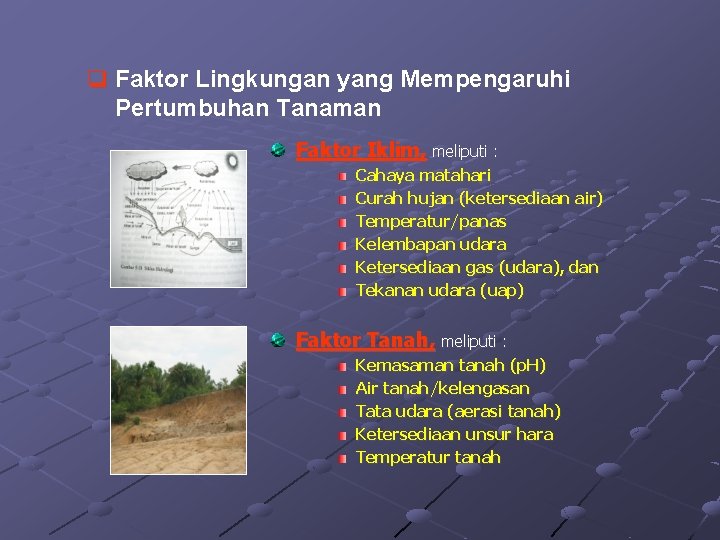 q Faktor Lingkungan yang Mempengaruhi Pertumbuhan Tanaman Faktor Iklim, meliputi : Cahaya matahari Curah