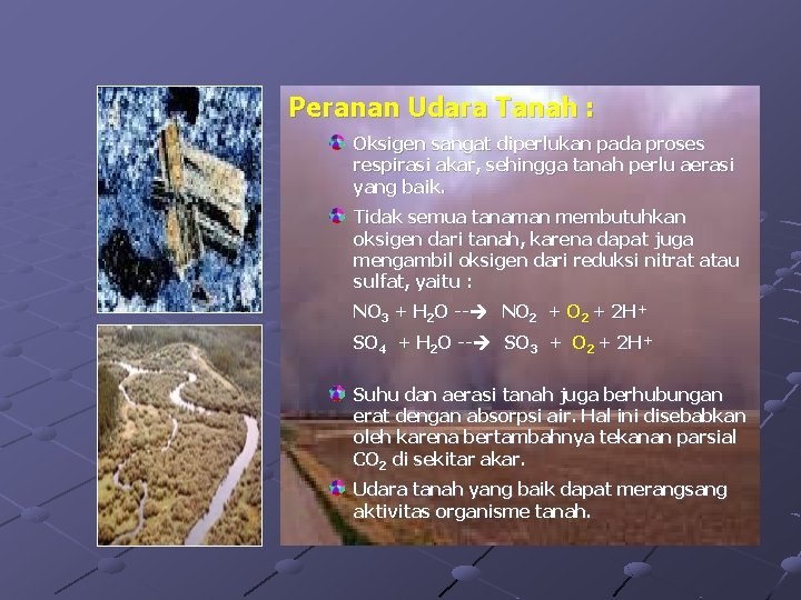 Peranan Udara Tanah : Oksigen sangat diperlukan pada proses respirasi akar, sehingga tanah perlu