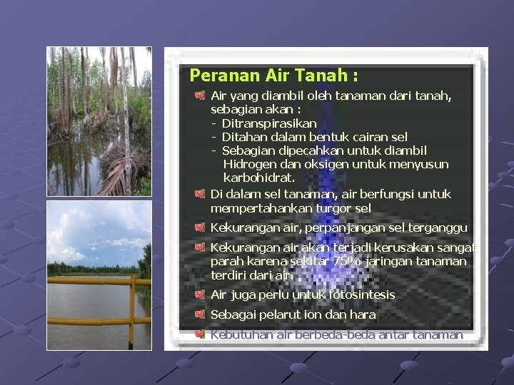 Peranan Air Tanah : Air yang diambil oleh tanaman dari tanah, sebagian akan :