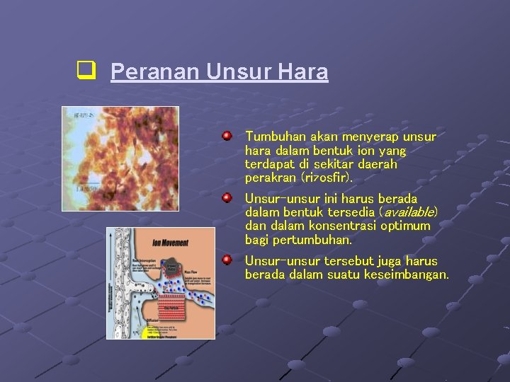 q Peranan Unsur Hara Tumbuhan akan menyerap unsur hara dalam bentuk ion yang terdapat