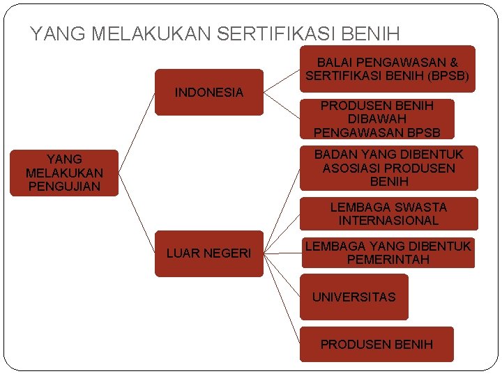 YANG MELAKUKAN SERTIFIKASI BENIH BALAI PENGAWASAN & SERTIFIKASI BENIH (BPSB) INDONESIA PRODUSEN BENIH DIBAWAH