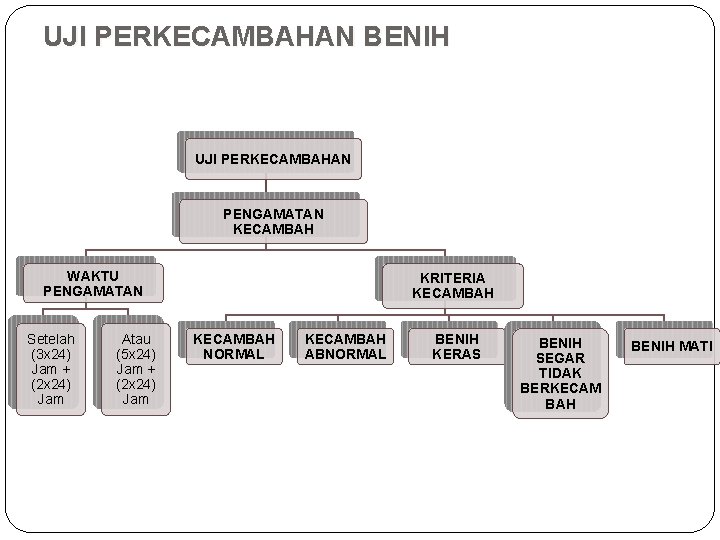 UJI PERKECAMBAHAN BENIH UJI PERKECAMBAHAN PENGAMATAN KECAMBAH WAKTU PENGAMATAN Setelah (3 x 24) Jam