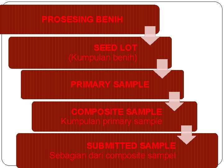PROSESING BENIH SEED LOT (Kumpulan benih) PRIMARY SAMPLE COMPOSITE SAMPLE Kumpulan primary sample SUBMITTED
