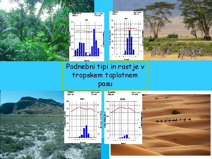 Podnebni tipi in rastje v tropskem toplotnem pasu Podnebni tipi in rastje v tropskem toplotnem pasu
