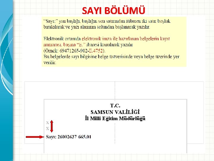 SAYI BÖLÜMÜ T. C. SAMSUN VALİLİĞİ İl Milli Eğitim Müdürlüğü 