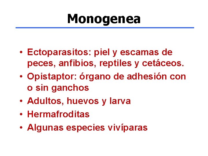 Monogenea • Ectoparasitos: piel y escamas de peces, anfibios, reptiles y cetáceos. • Opistaptor: