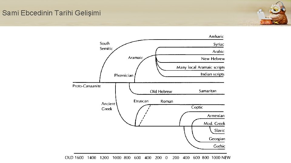 Sami Ebcedinin Tarihi Gelişimi 