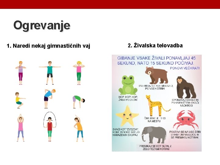 Ogrevanje 1. Naredi nekaj gimnastičnih vaj 2. Živalska telovadba 