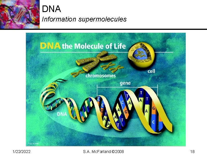 DNA Information supermolecules 1/22/2022 S. A. Mc. Farland © 2008 18 