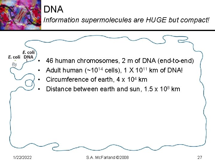 DNA Information supermolecules are HUGE but compact! • • 1/22/2022 46 human chromosomes, 2