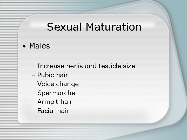 Sexual Maturation • Males – Increase penis and testicle size – Pubic hair –