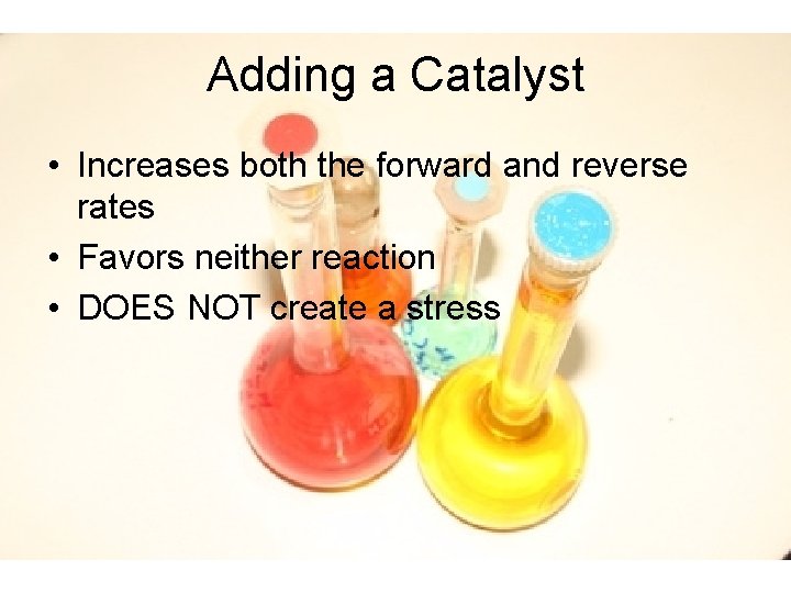 Adding a Catalyst • Increases both the forward and reverse rates • Favors neither