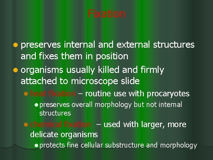 Fixation l preserves internal and external structures and fixes them in position l organisms