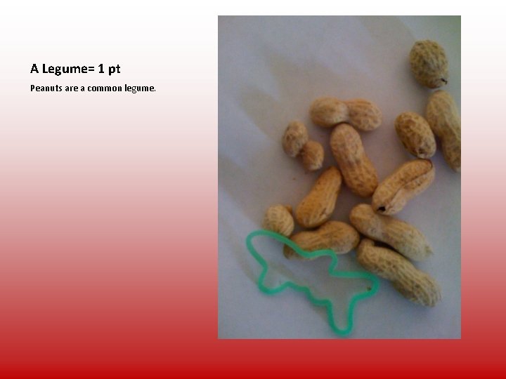 A Legume= 1 pt Peanuts are a common legume. 