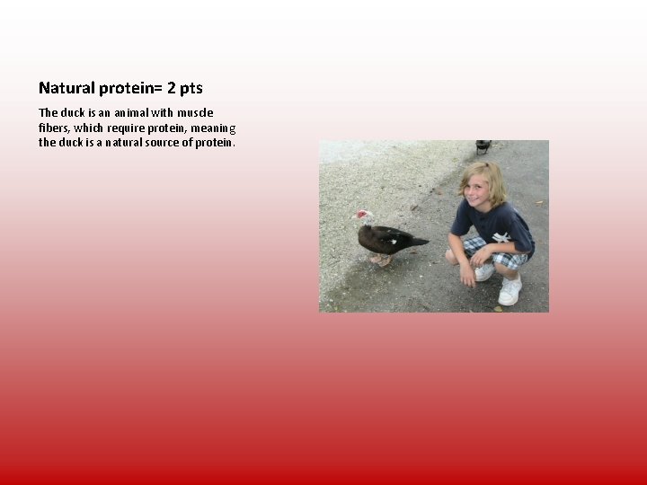 Natural protein= 2 pts The duck is an animal with muscle fibers, which require