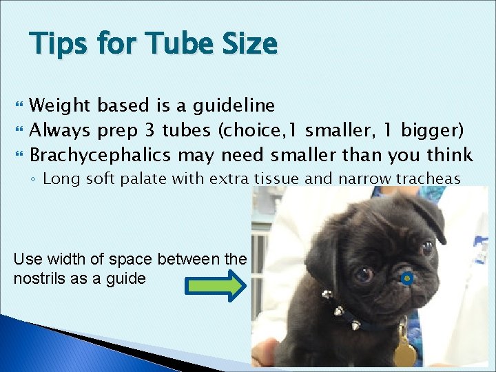Tips for Tube Size Weight based is a guideline Always prep 3 tubes (choice,