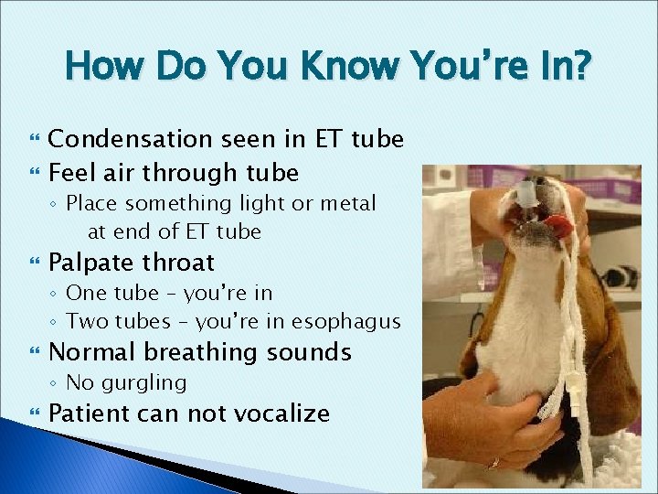 How Do You Know You’re In? Condensation seen in ET tube Feel air through