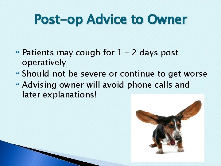 Post-op Advice to Owner Patients may cough for 1 – 2 days post operatively