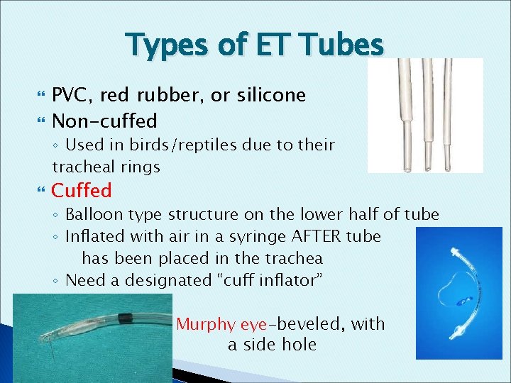 Types of ET Tubes PVC, red rubber, or silicone Non-cuffed ◦ Used in birds/reptiles