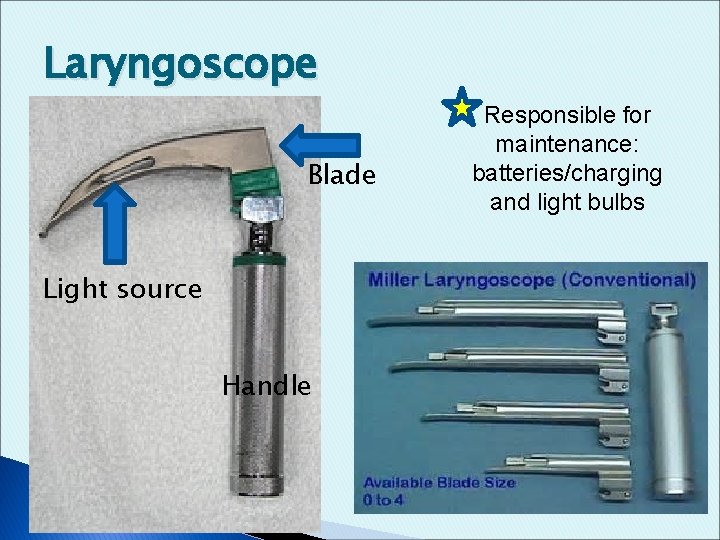 Laryngoscope Blade Light source Handle Responsible for maintenance: batteries/charging and light bulbs 