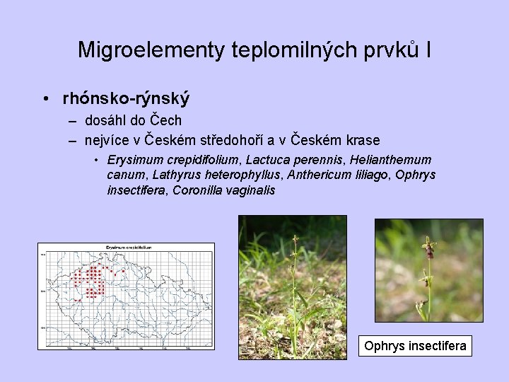 Migroelementy teplomilných prvků I • rhónsko-rýnský – dosáhl do Čech – nejvíce v Českém