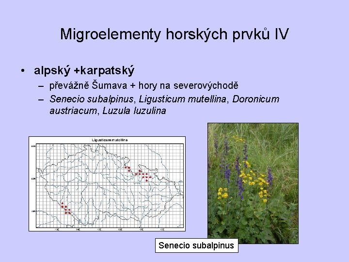 Migroelementy horských prvků IV • alpský +karpatský – převážně Šumava + hory na severovýchodě