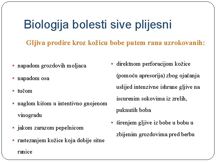 Biologija bolesti sive plijesni Gljiva prodire kroz kožicu bobe putem rana uzrokovanih: § napadom