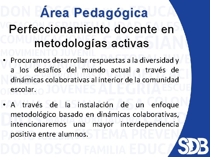 Área Pedagógica Perfeccionamiento docente en metodologías activas • Procuramos desarrollar respuestas a la diversidad