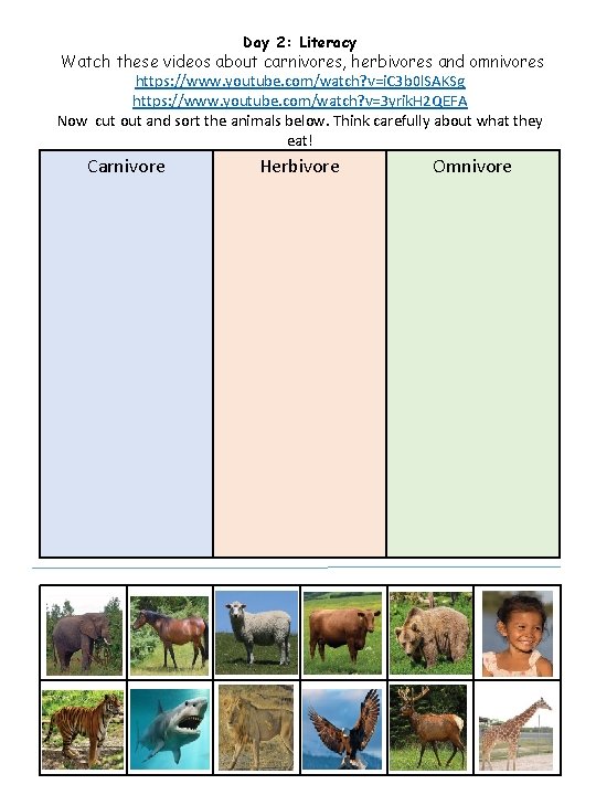 Day 2: Literacy Watch these videos about carnivores, herbivores and omnivores https: //www. youtube.