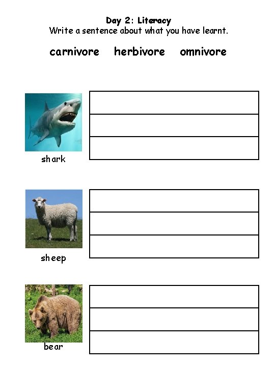 Day 2: Literacy Write a sentence about what you have learnt. carnivore shark sheep