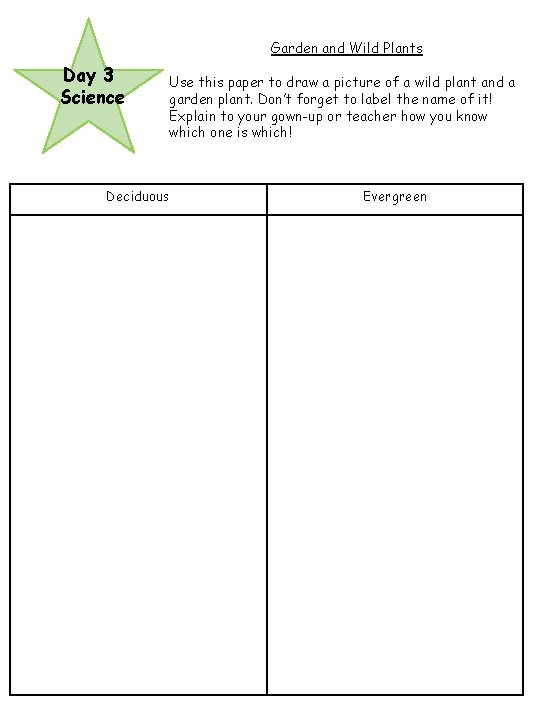 Garden and Wild Plants Day 3 Science Use this paper to draw a picture