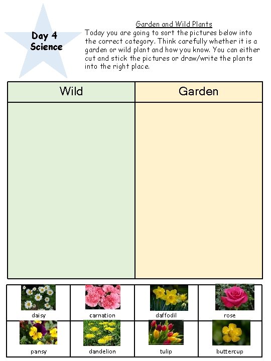 Day 4 Science Garden and Wild Plants Today you are going to sort the