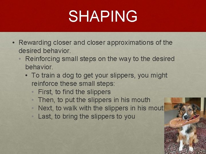 SHAPING • Rewarding closer and closer approximations of the desired behavior. • Reinforcing small