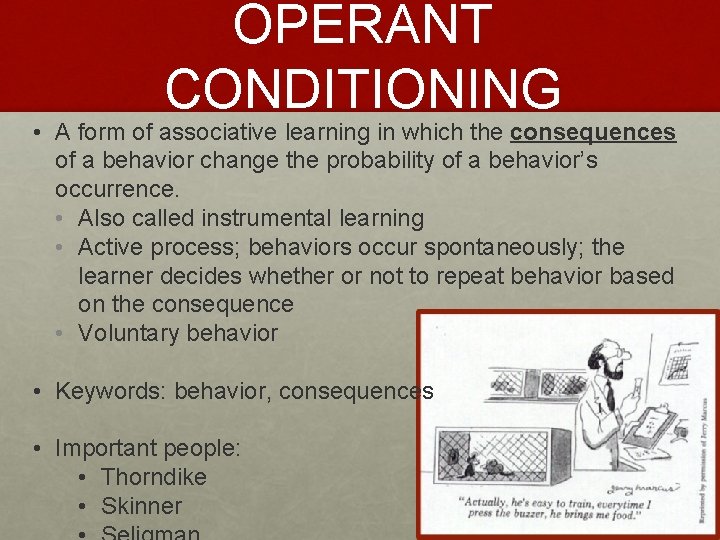 OPERANT CONDITIONING • A form of associative learning in which the consequences of a