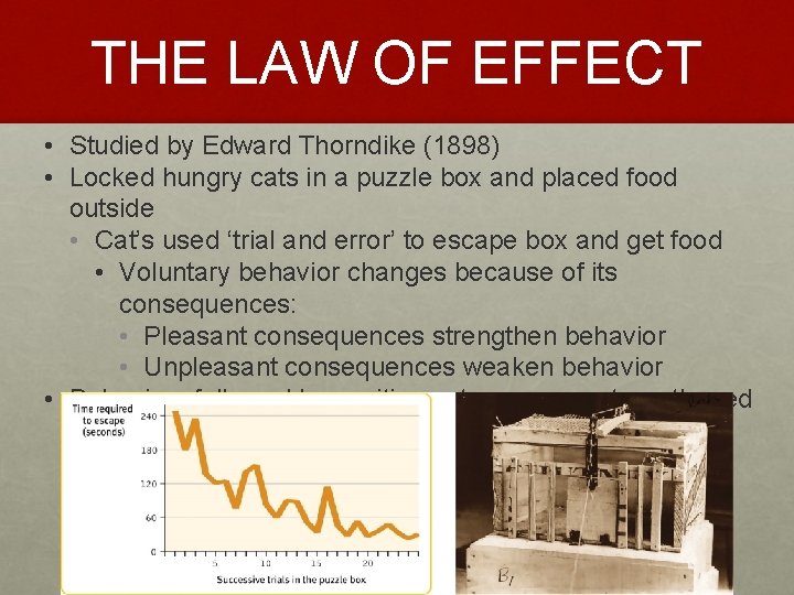 THE LAW OF EFFECT • Studied by Edward Thorndike (1898) • Locked hungry cats