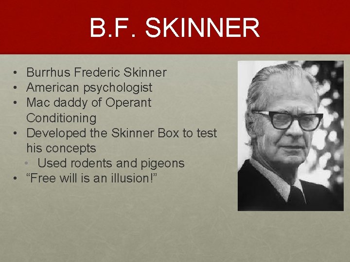 B. F. SKINNER • Burrhus Frederic Skinner • American psychologist • Mac daddy of