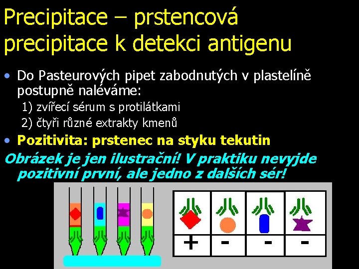 Precipitace – prstencová precipitace k detekci antigenu • Do Pasteurových pipet zabodnutých v. plastelíně