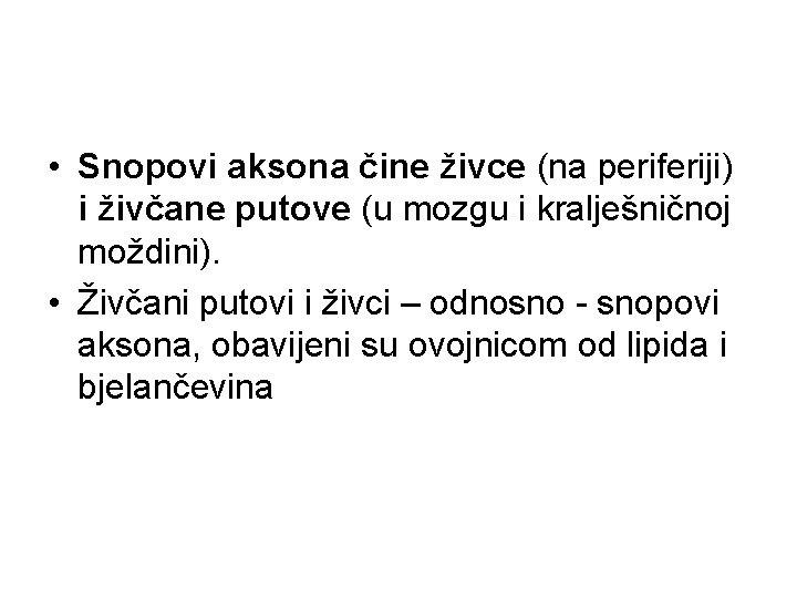  • Snopovi aksona čine živce (na periferiji) i živčane putove (u mozgu i