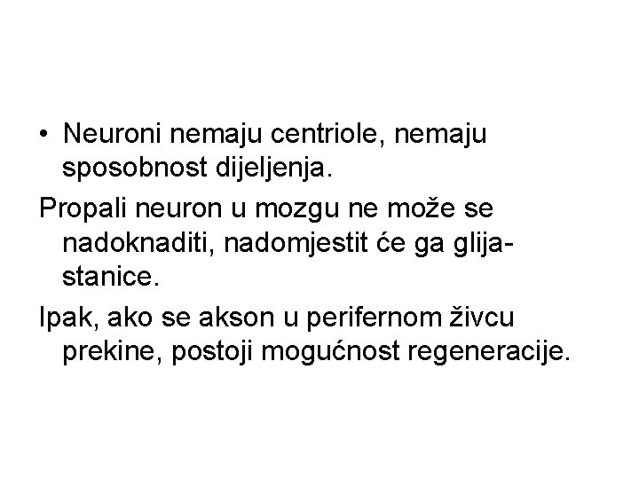  • Neuroni nemaju centriole, nemaju sposobnost dijeljenja. Propali neuron u mozgu ne može