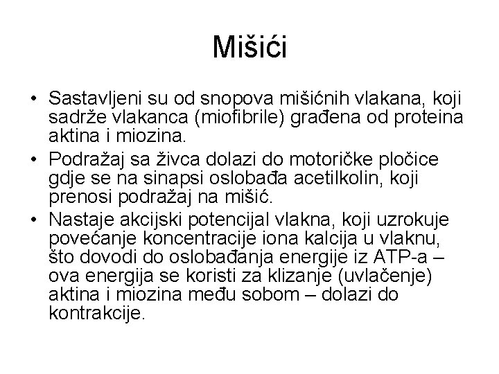 Mišići • Sastavljeni su od snopova mišićnih vlakana, koji sadrže vlakanca (miofibrile) građena od