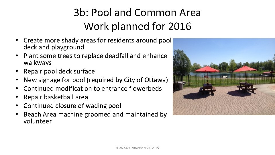 3 b: Pool and Common Area Work planned for 2016 • Create more shady