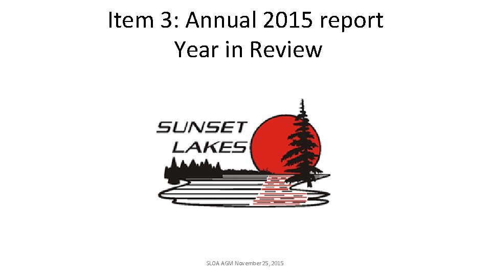 Item 3: Annual 2015 report Year in Review SLOA AGM November 25, 2015 
