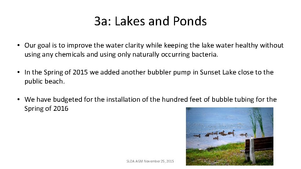 3 a: Lakes and Ponds • Our goal is to improve the water clarity
