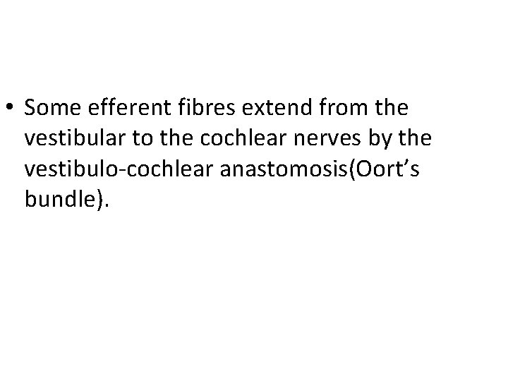  • Some efferent fibres extend from the vestibular to the cochlear nerves by