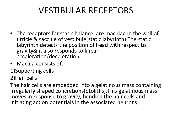 VESTIBULAR RECEPTORS • The receptors for static balance are maculae in the wall of