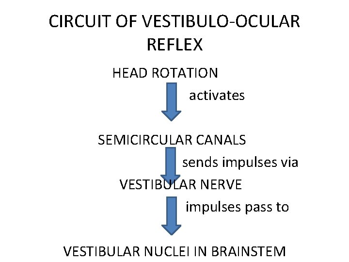 CIRCUIT OF VESTIBULO-OCULAR REFLEX HEAD ROTATION activates SEMICIRCULAR CANALS sends impulses via VESTIBULAR NERVE