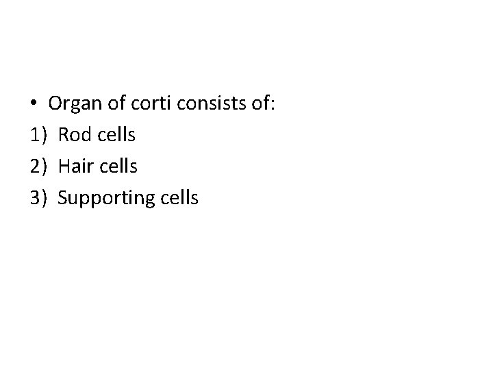  • Organ of corti consists of: 1) Rod cells 2) Hair cells 3)