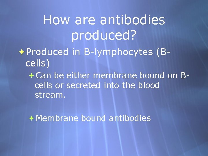 How are antibodies produced? Produced in B-lymphocytes (Bcells) Can be either membrane bound on